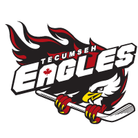 Tecumesh Minor Hockey